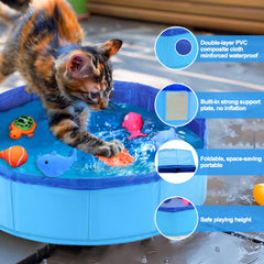 Peces dentro de la piscina mantienen al gato activo sin salir del hogar