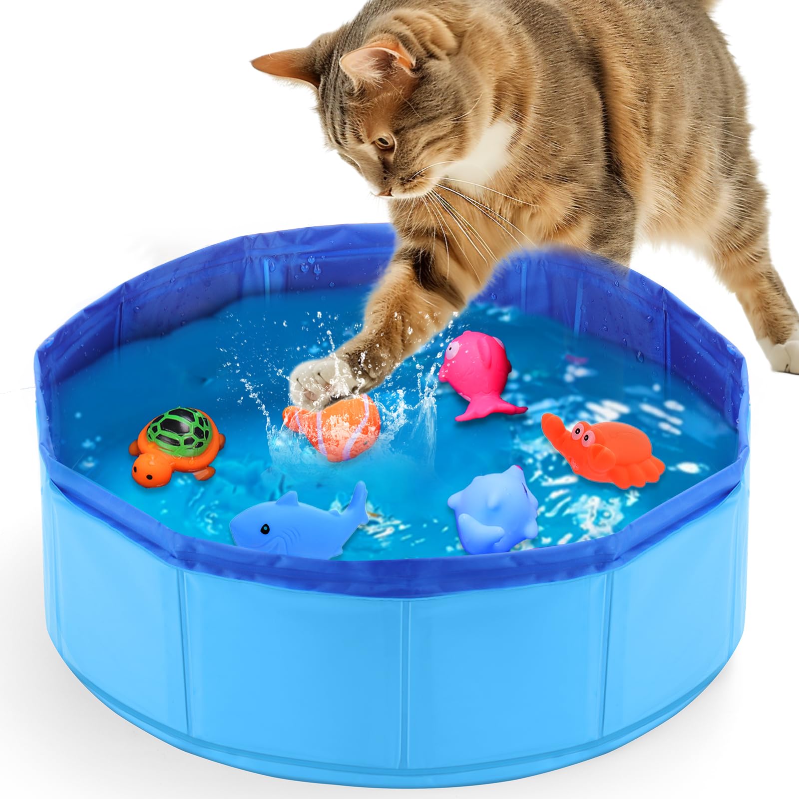 Mity Rain piscina para gatos con peces interactivos para entretenimiento seguro en interiores