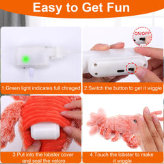 Mity Rain wiggly lobster toy rechargeable unit enables extended play sessions.