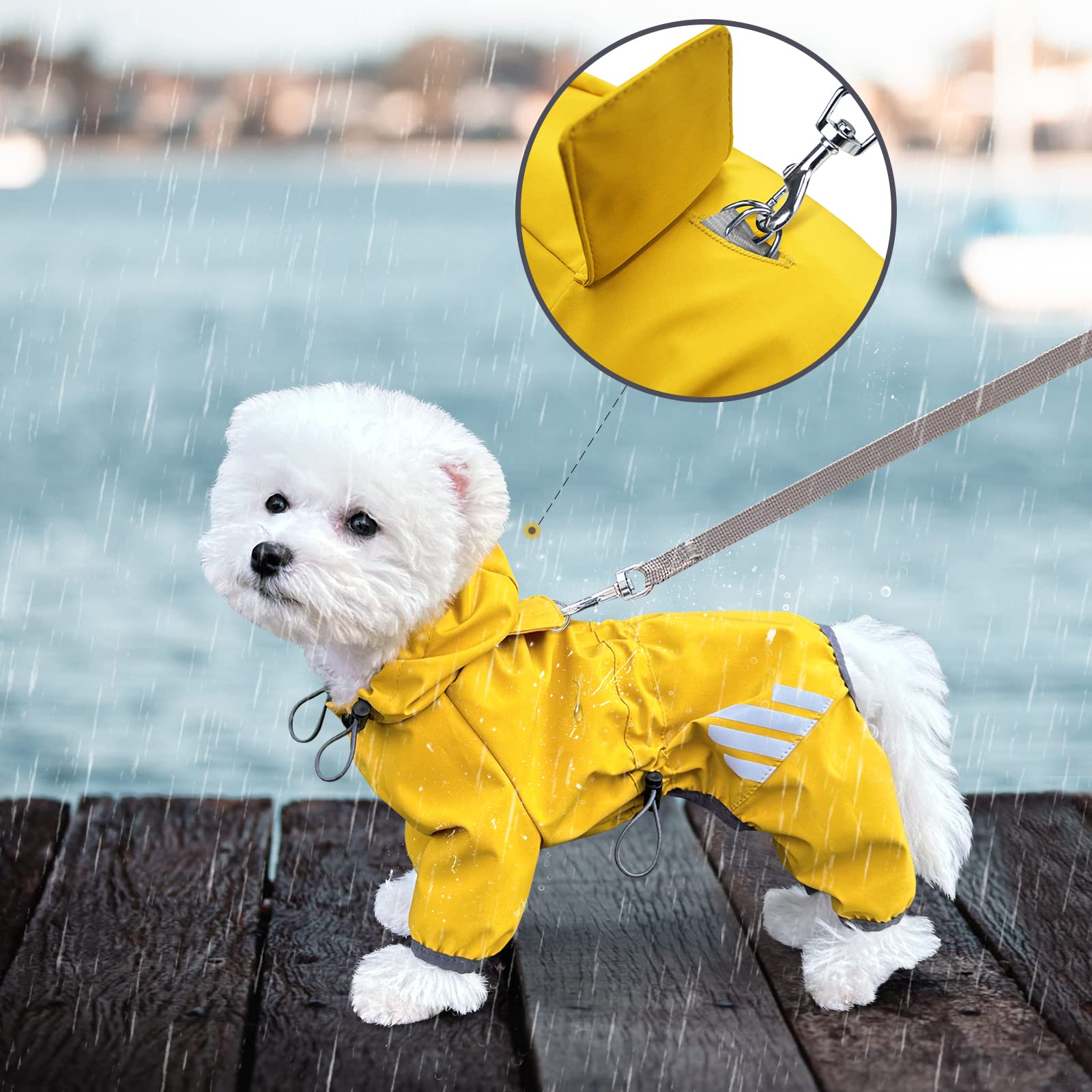 Miucat dog raincoat reflective strips close-up for nighttime safety