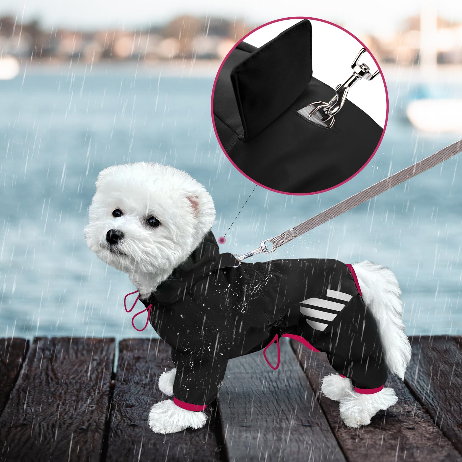 Miucat lightweight coat designed for small and medium breeds with adjustable fit