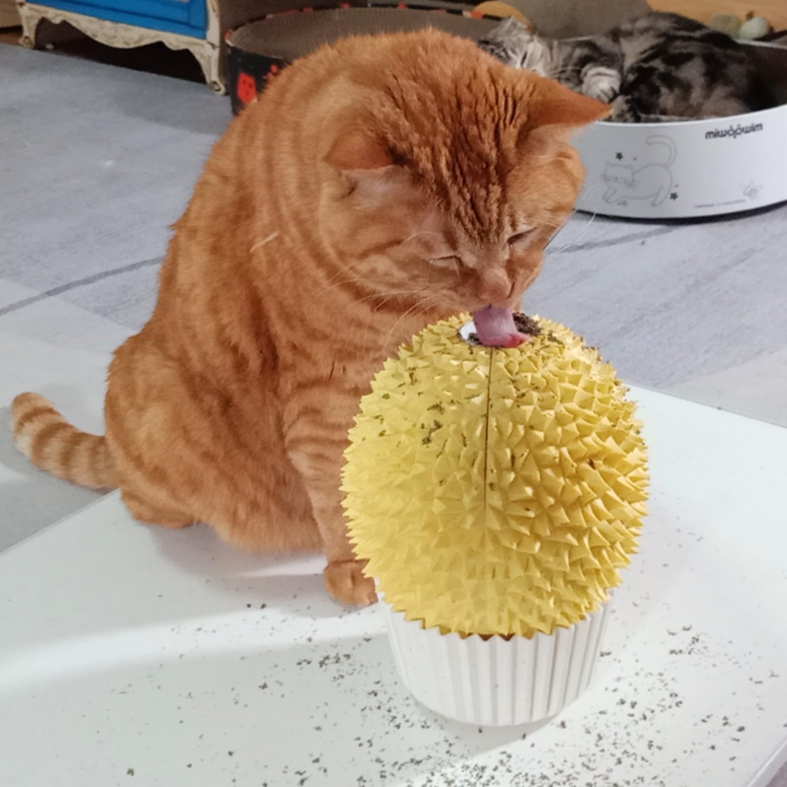 Miwoowim Catnip Feeder includes double-sided tape for quick, stable installation
