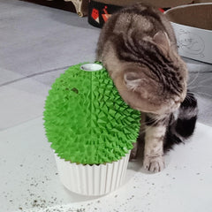 Miwoowim Catnip Feeder self-grooming brush provides soothing massages for indoor cats