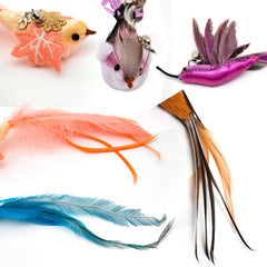 miwoowim feather bird blue refill boosts visual flutter and fun