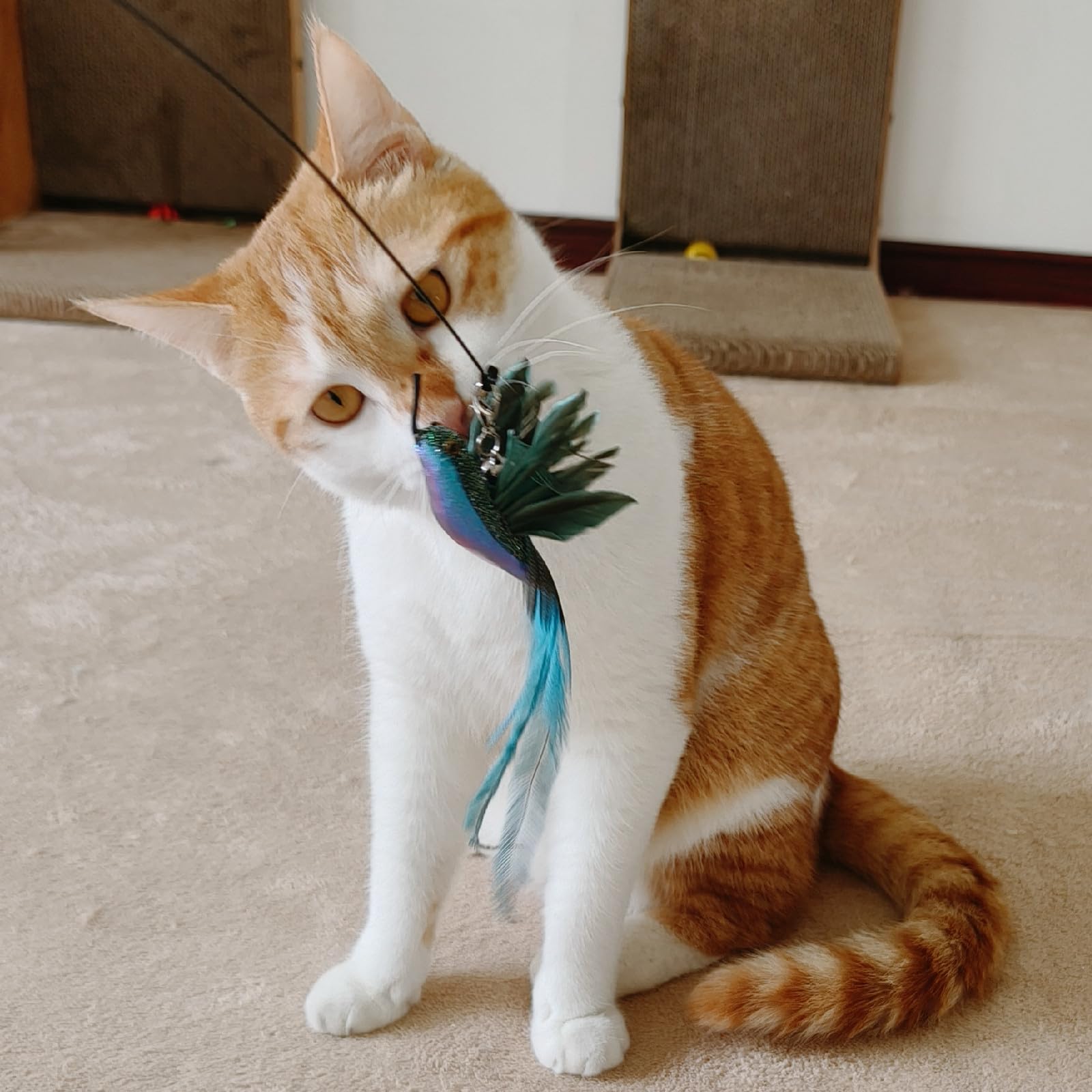 miwoowim feather bird red refill creates vivid hunting targets