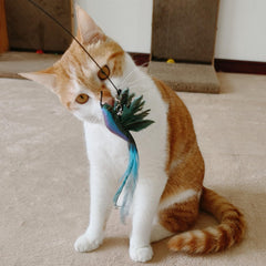 miwoowim feather bird red refill creates vivid hunting targets