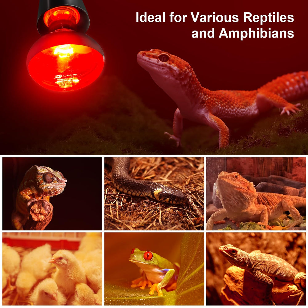 MIXJOY 2-pack infrared bulbs ensure continuous warmth for day and night