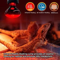 MIXJOY 100W red glass bulb durability for humid terrarium environments
