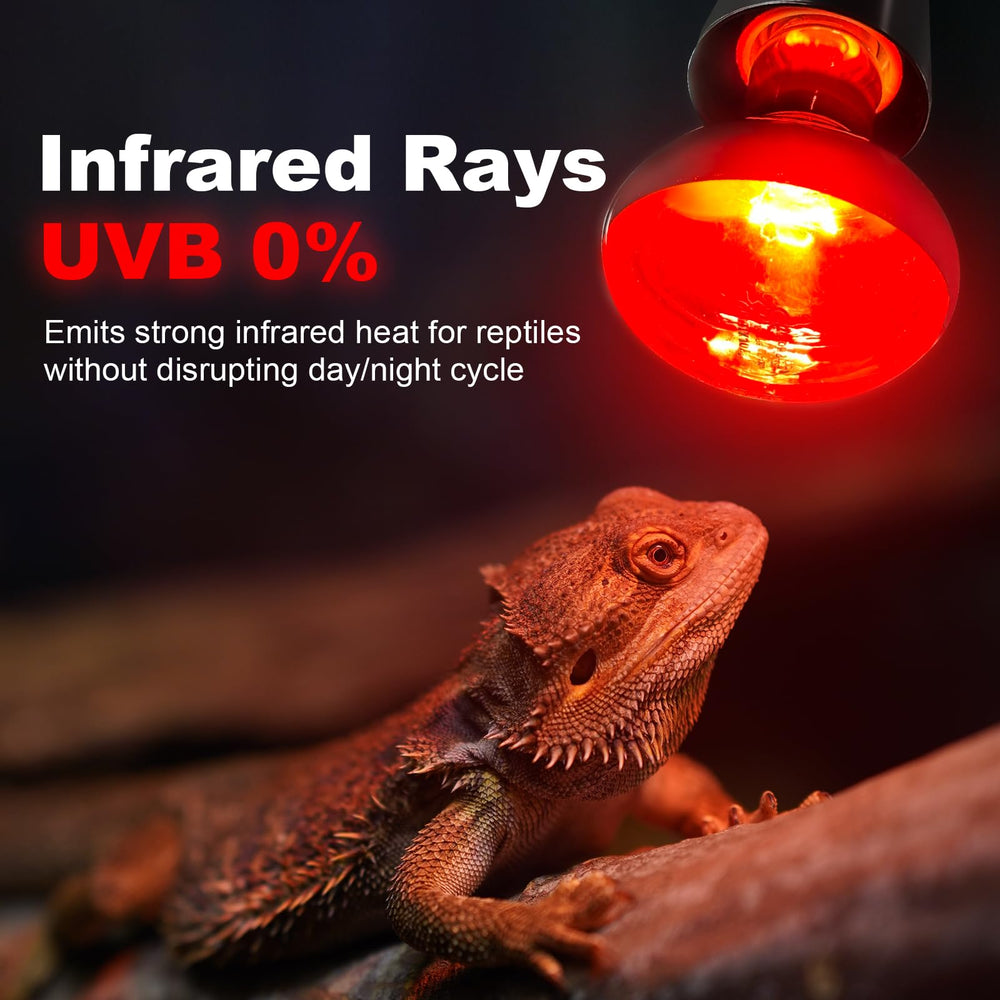 MIXJOY infrared heat lamp bulb warm glow in terrarium supports appetite and activity
