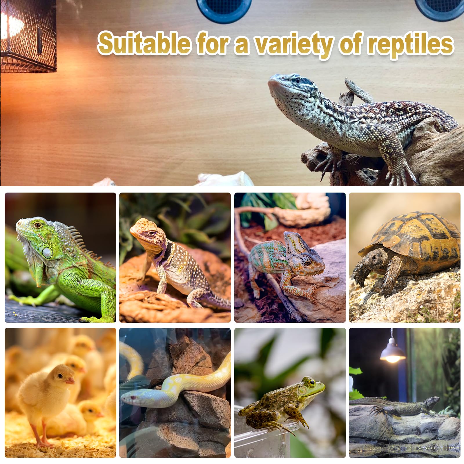 MIXJOY 120V E26 compatible reptile lamp fits many enclosures.