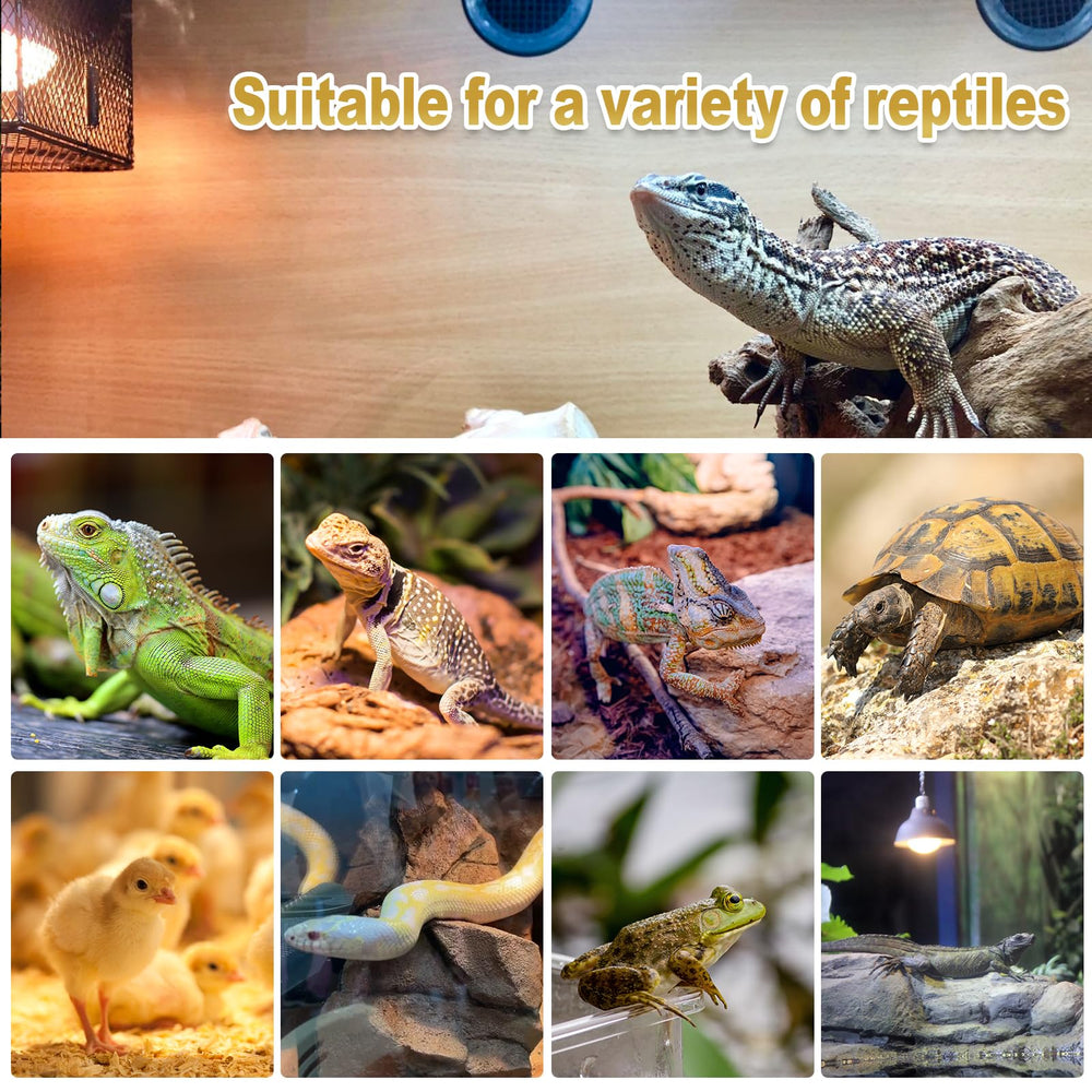 MIXJOY 120V E26 compatible reptile lamp fits many enclosures.