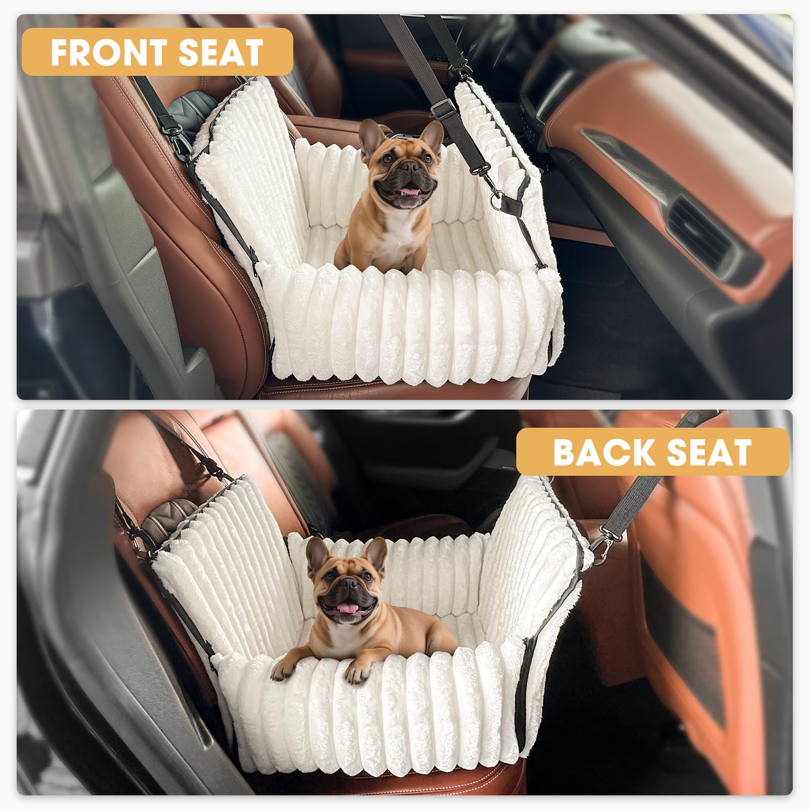 MIXJOY 6-in-1 converts from car seat to portable pet bag for easy outings.