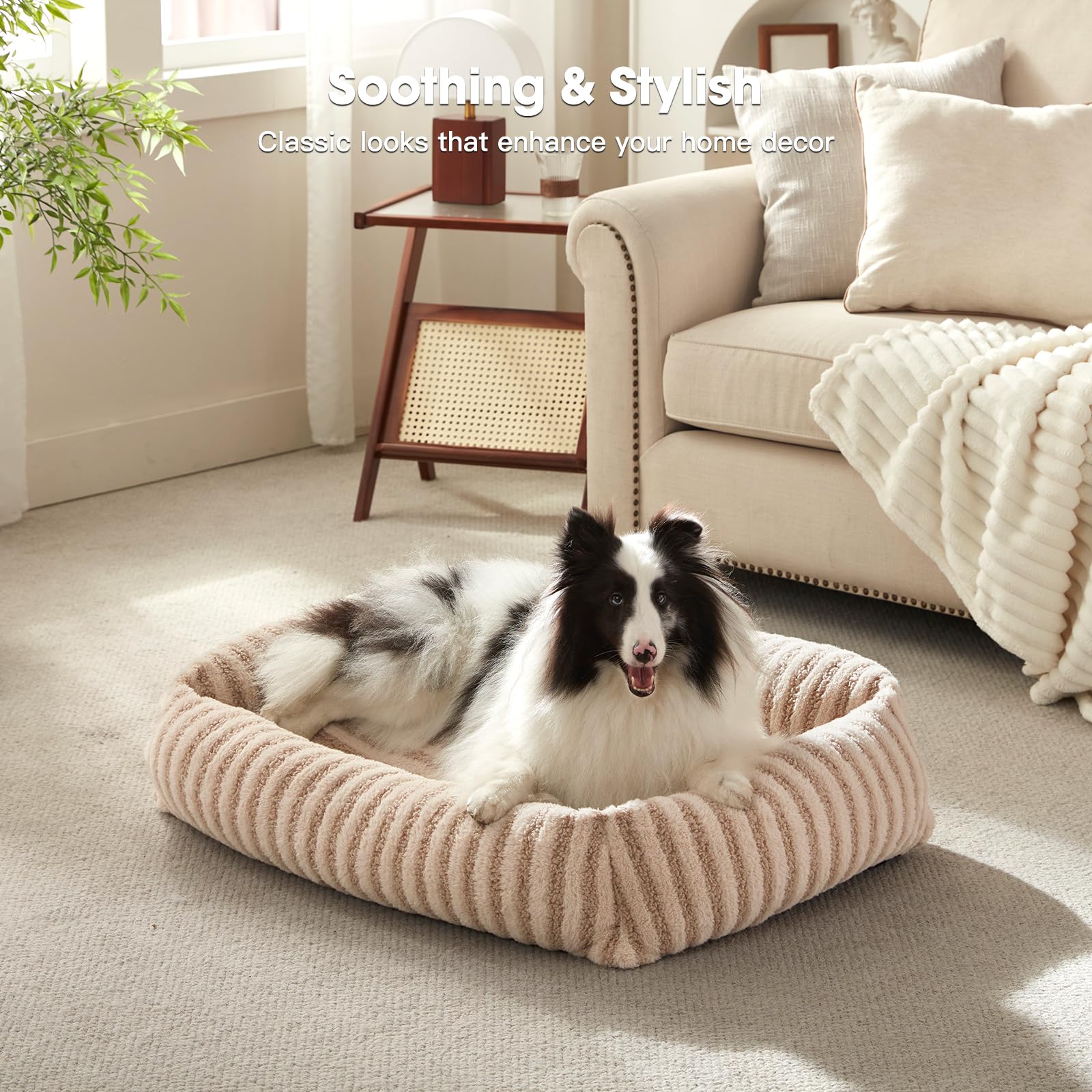 MIXJOY bed features removable cover and non-washable inner foam for durability.