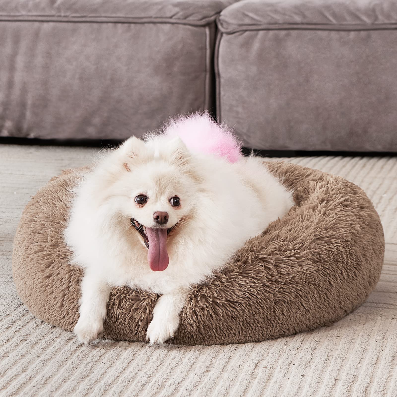 MIXJOY Calming Cat Bed in use shows cozy indoor lounging
