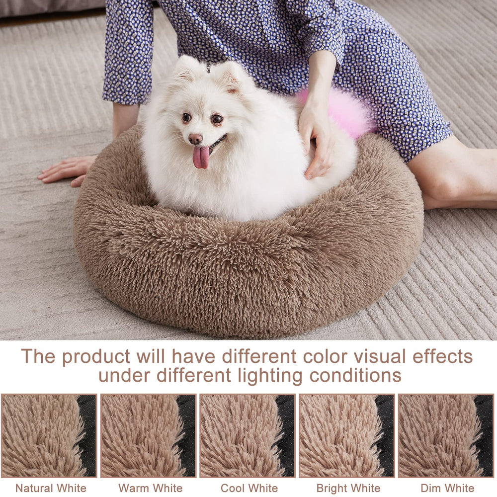 MIXJOY Calming Cat Bed soft inner padding supports restful naps