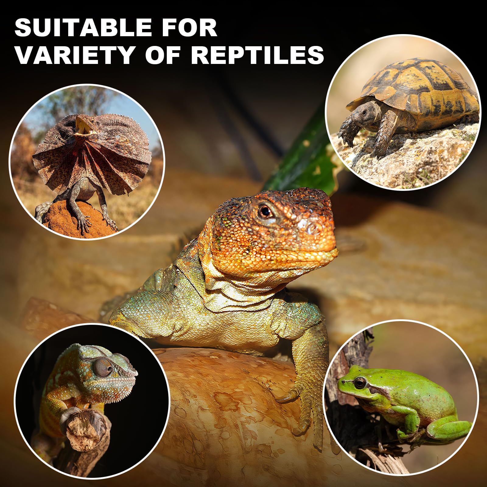 MIXJOY ceramic heat emitter terrarium and brooder use offers versatile warmth for reptiles and poultry.
