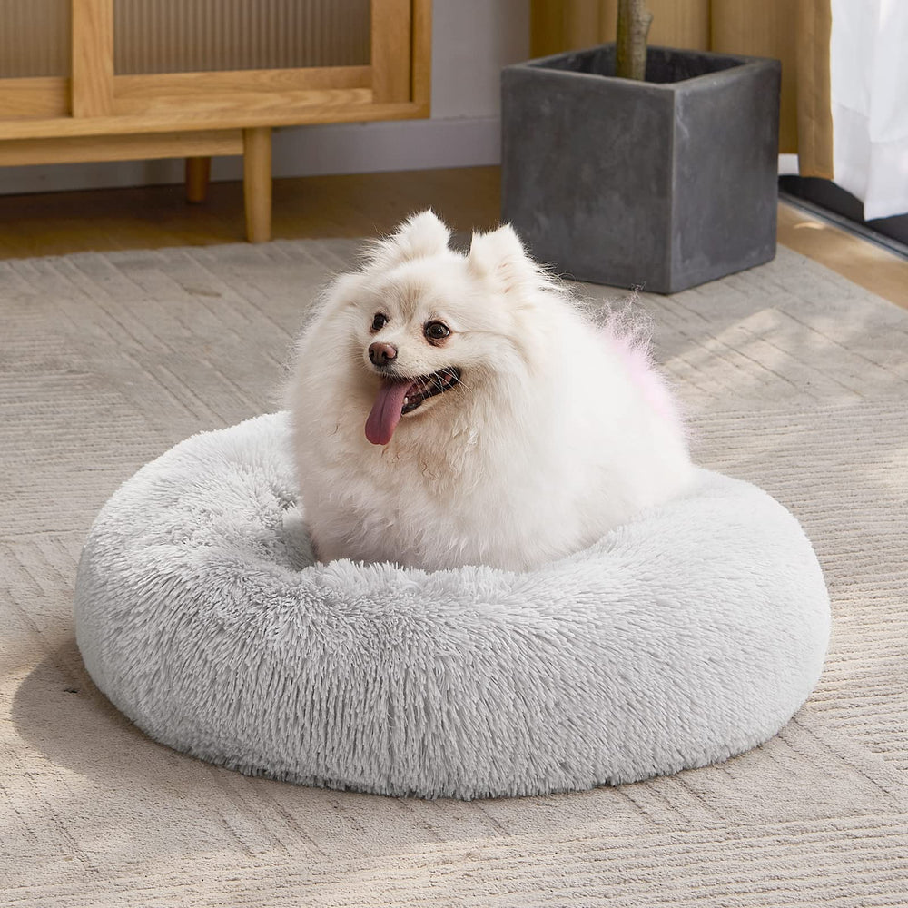 MIXJOY Decor-friendly grey bed blends with home decor while inviting pet rest.