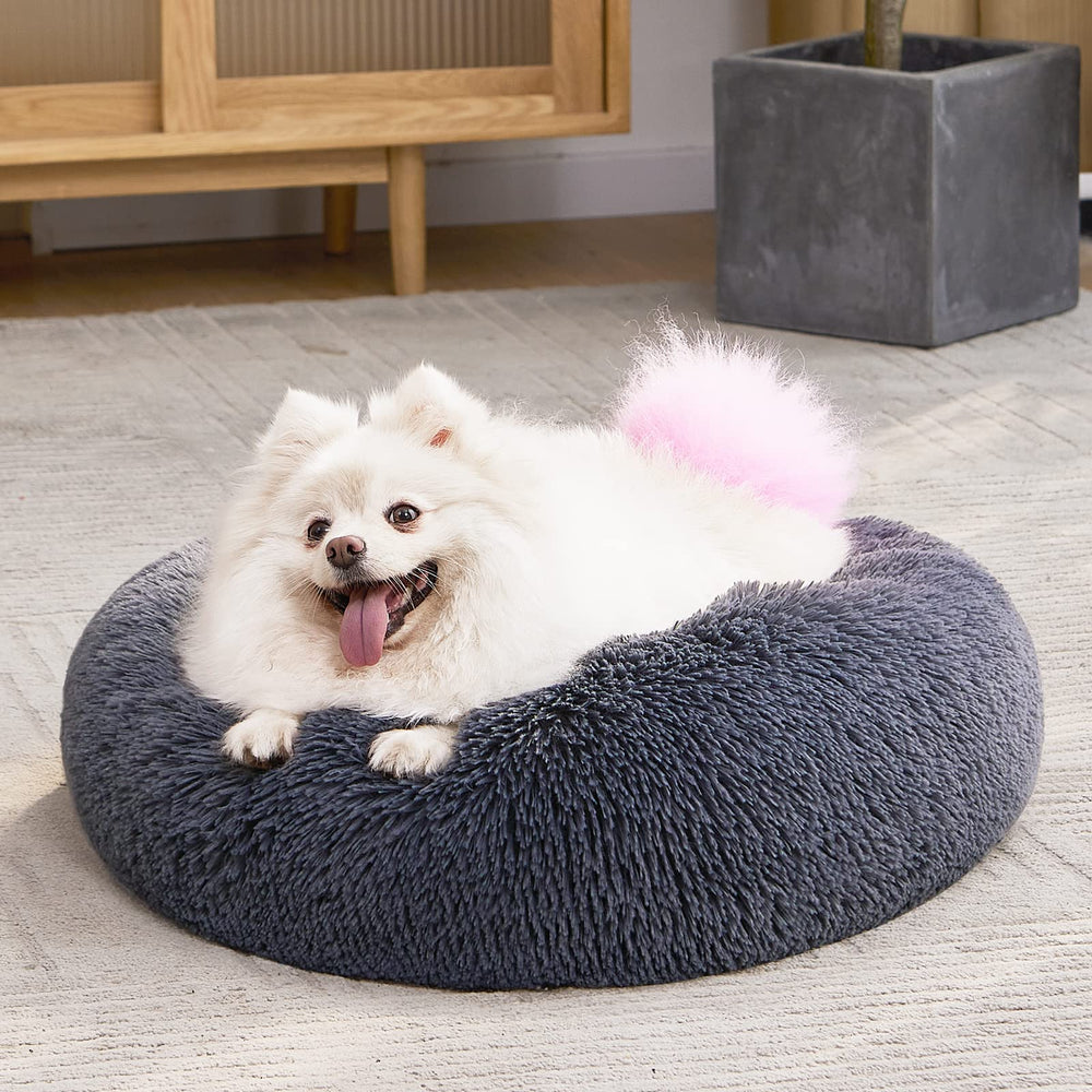 MIXJOY 30-inch bed offers ample space for small pets.