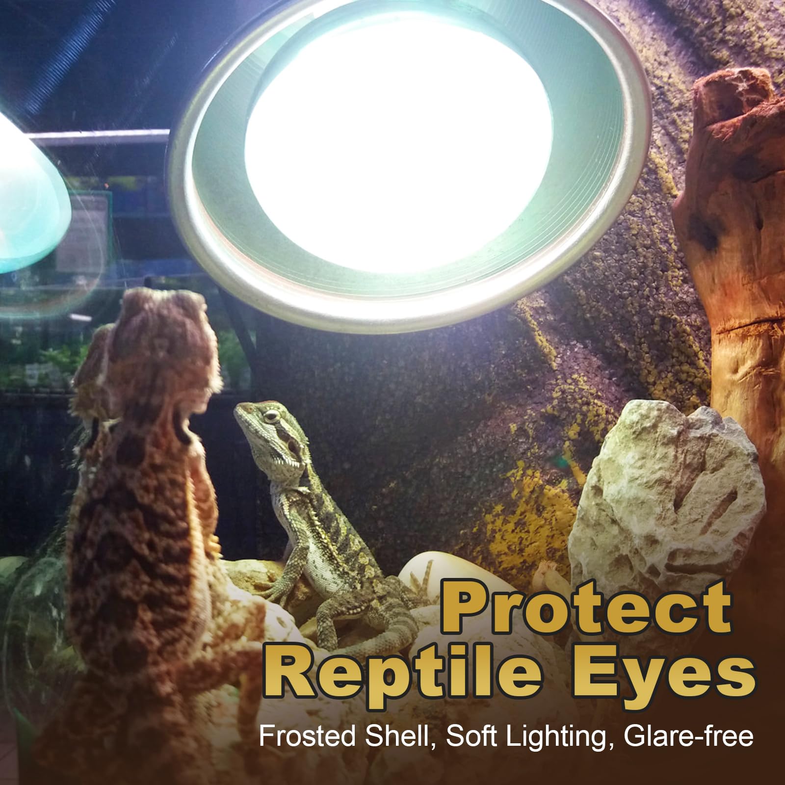 MIXJOY reptile basking bulb soft-diffused glass reduces glare for safer viewing.
