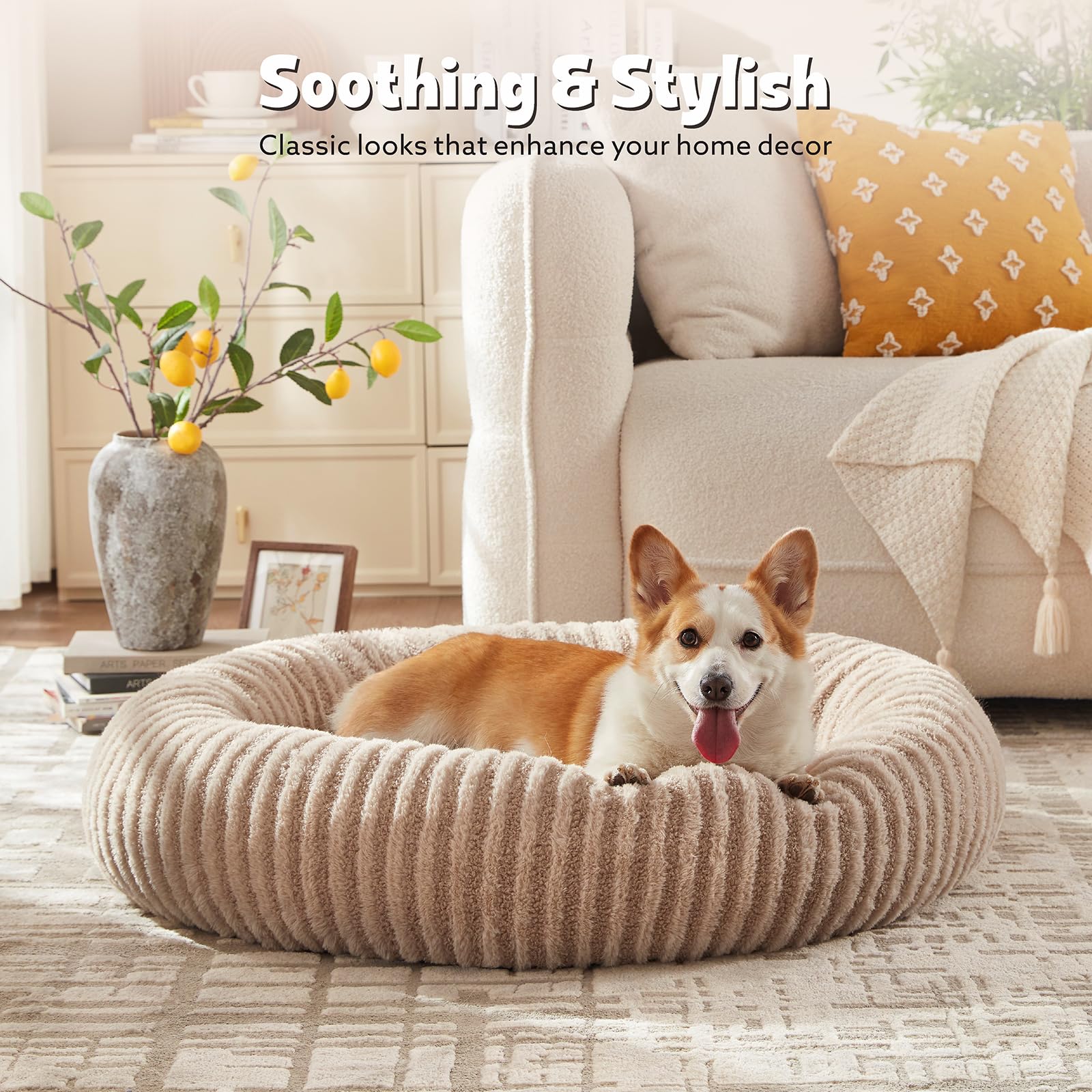 MIXJOY three-size donut bed line for growing pets.