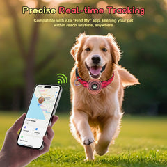 Miywb GPS dog collar battery demonstrates 12-month life with no monthly fees