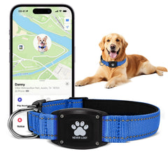 Myiwb GPS dog collar tracker full set for quick installation and reliable tracking.