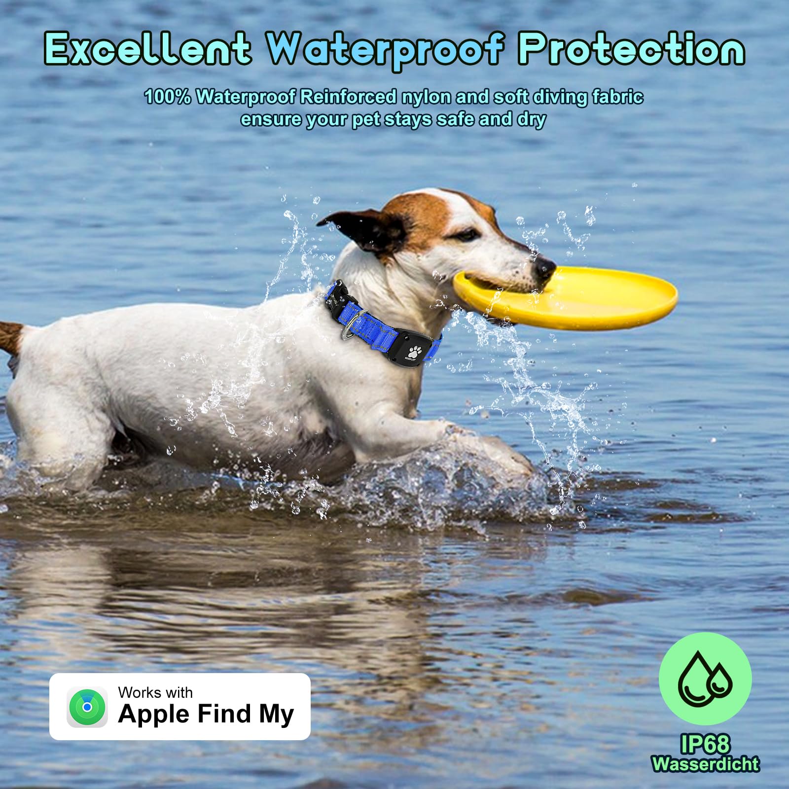 Myiwb GPS dog collar tracker location demo showing real-time tracking on iPhone.