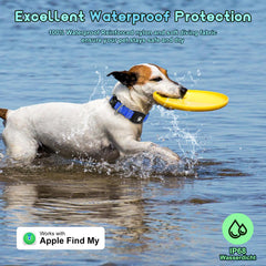 Myiwb GPS dog collar tracker location demo showing real-time tracking on iPhone.