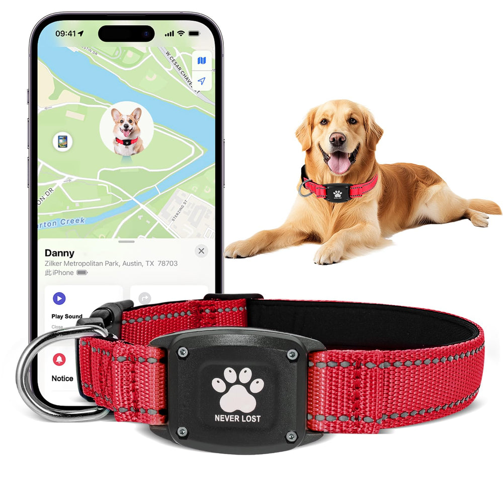 Miywb GPS dog collar outer view shows rugged build for all-weather adventures and reliable tracking