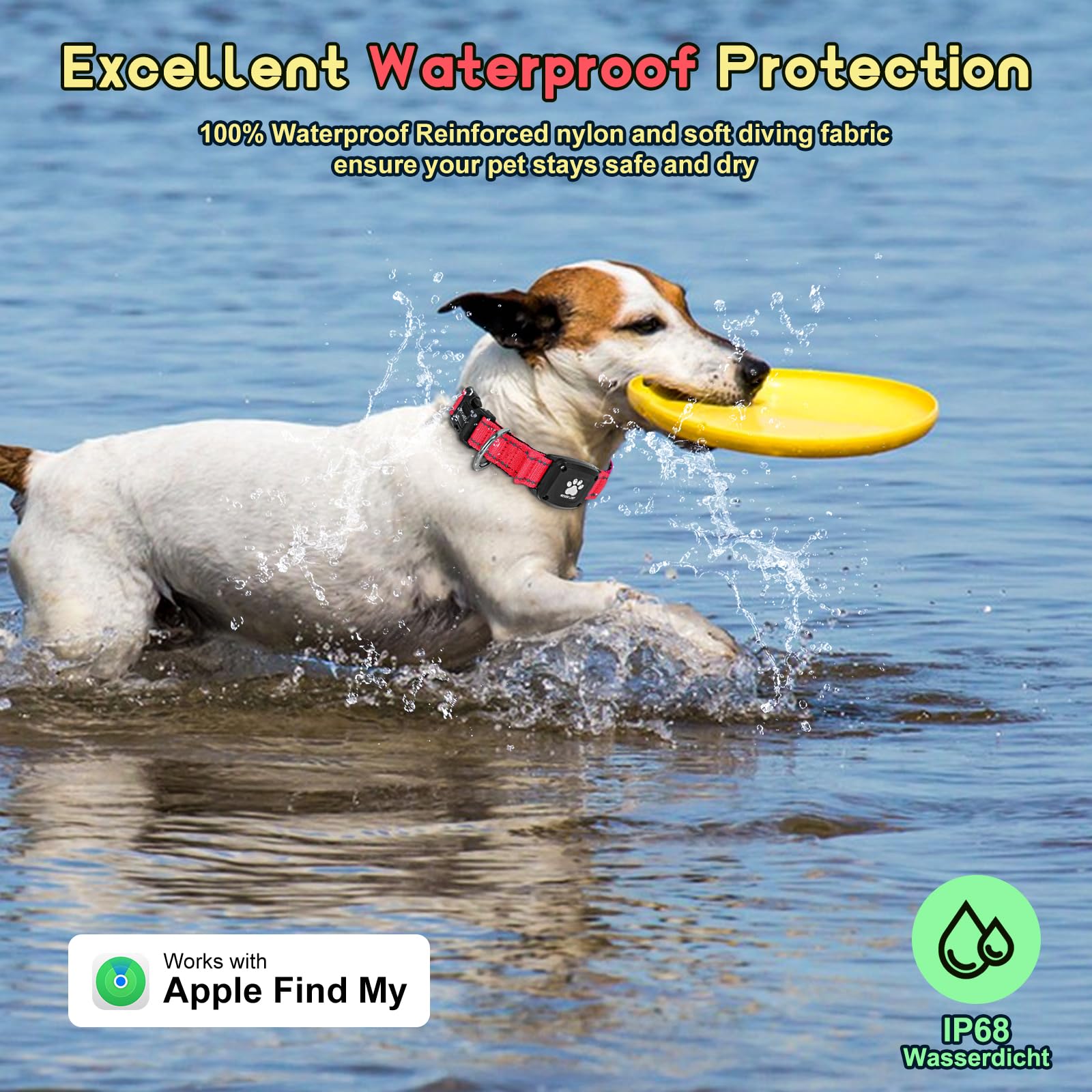 Miywb GPS dog collar tracker displays real-time tracking on iOS for quick pet location