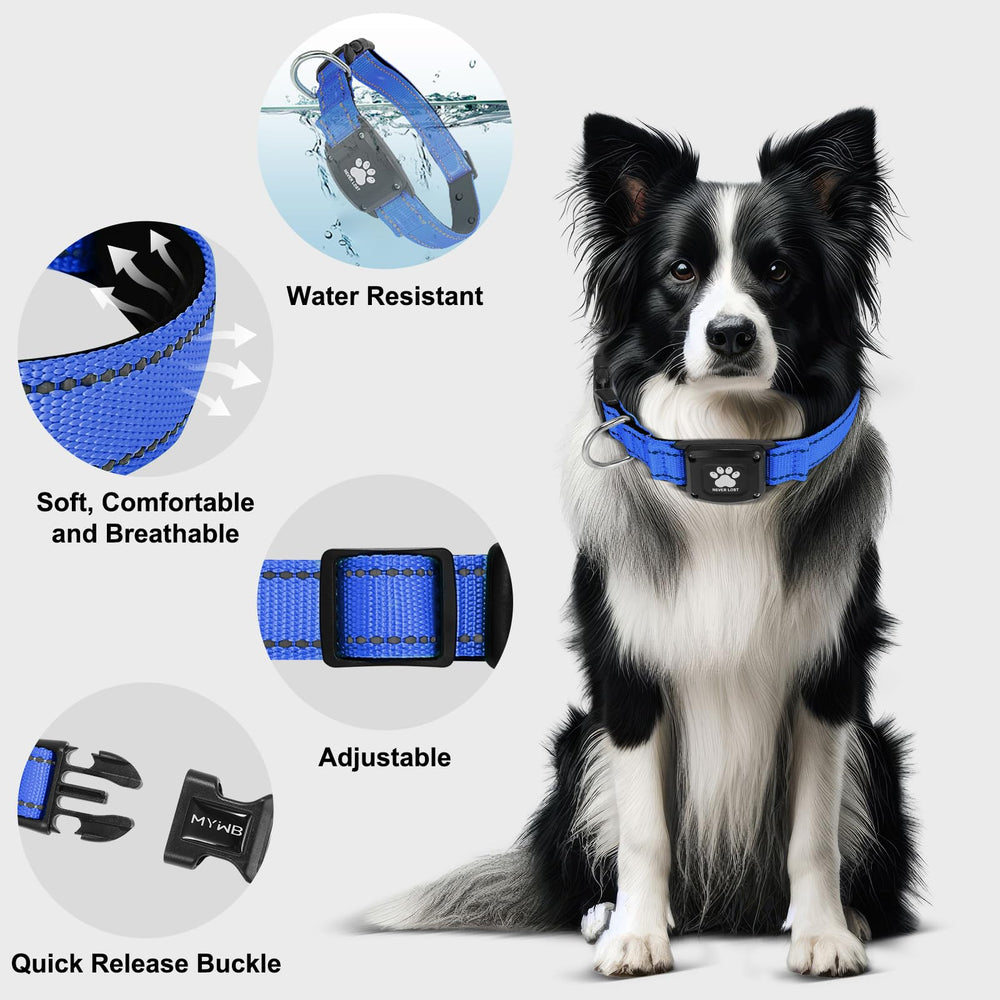Myiwb GPS dog collar tracker tools included for quick setup.