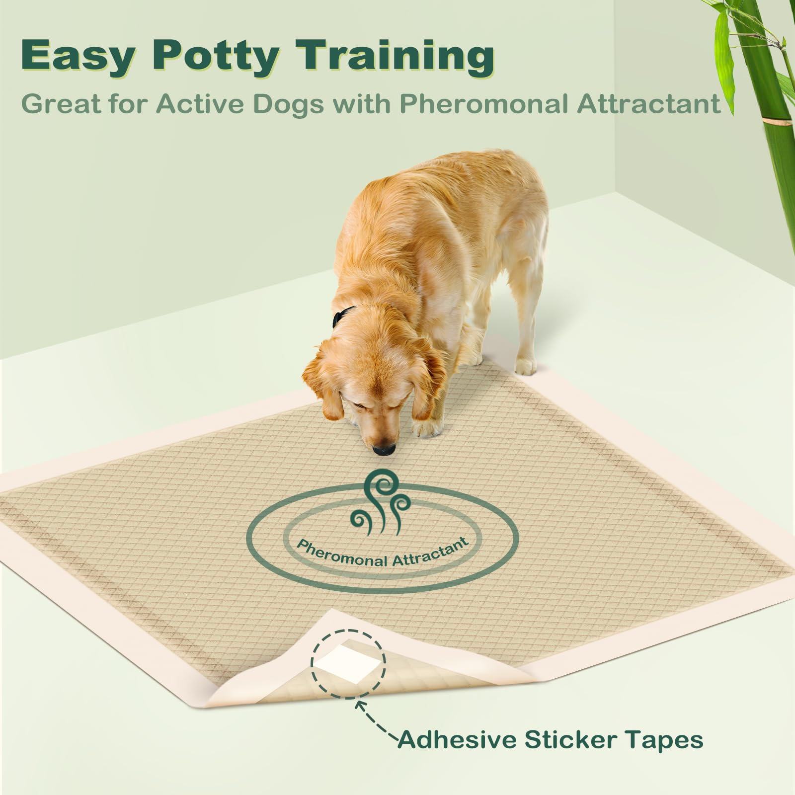 MIZOK bamboo pee pad FSC-certified fiber supports sustainable pet care