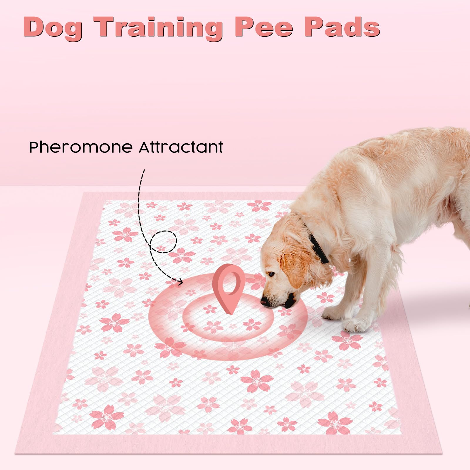 MIZOK dog pee pad absorption up to 8 cups for extended training sessions.
