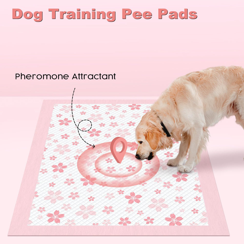 MIZOK dog pee pad absorption up to 8 cups for extended training sessions.