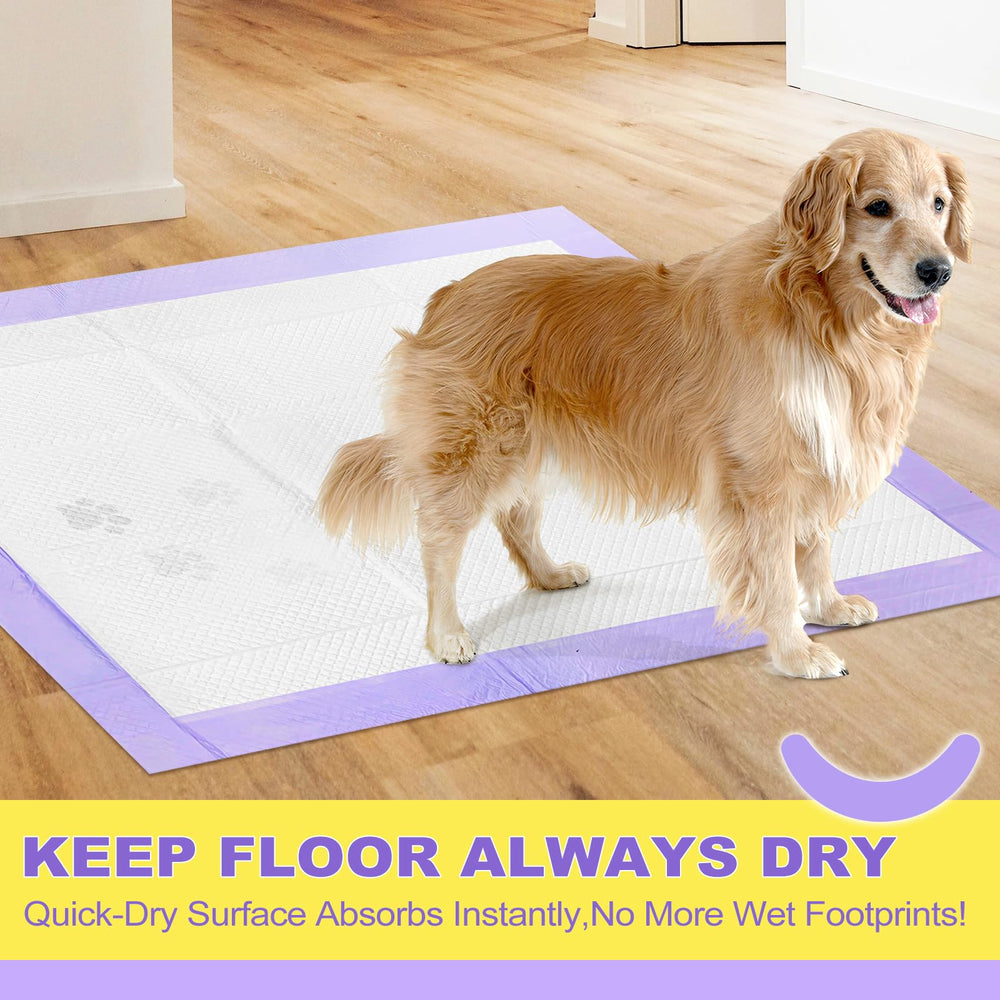 MIZOK FSC-certified materials highlight sustainable padding for pets.