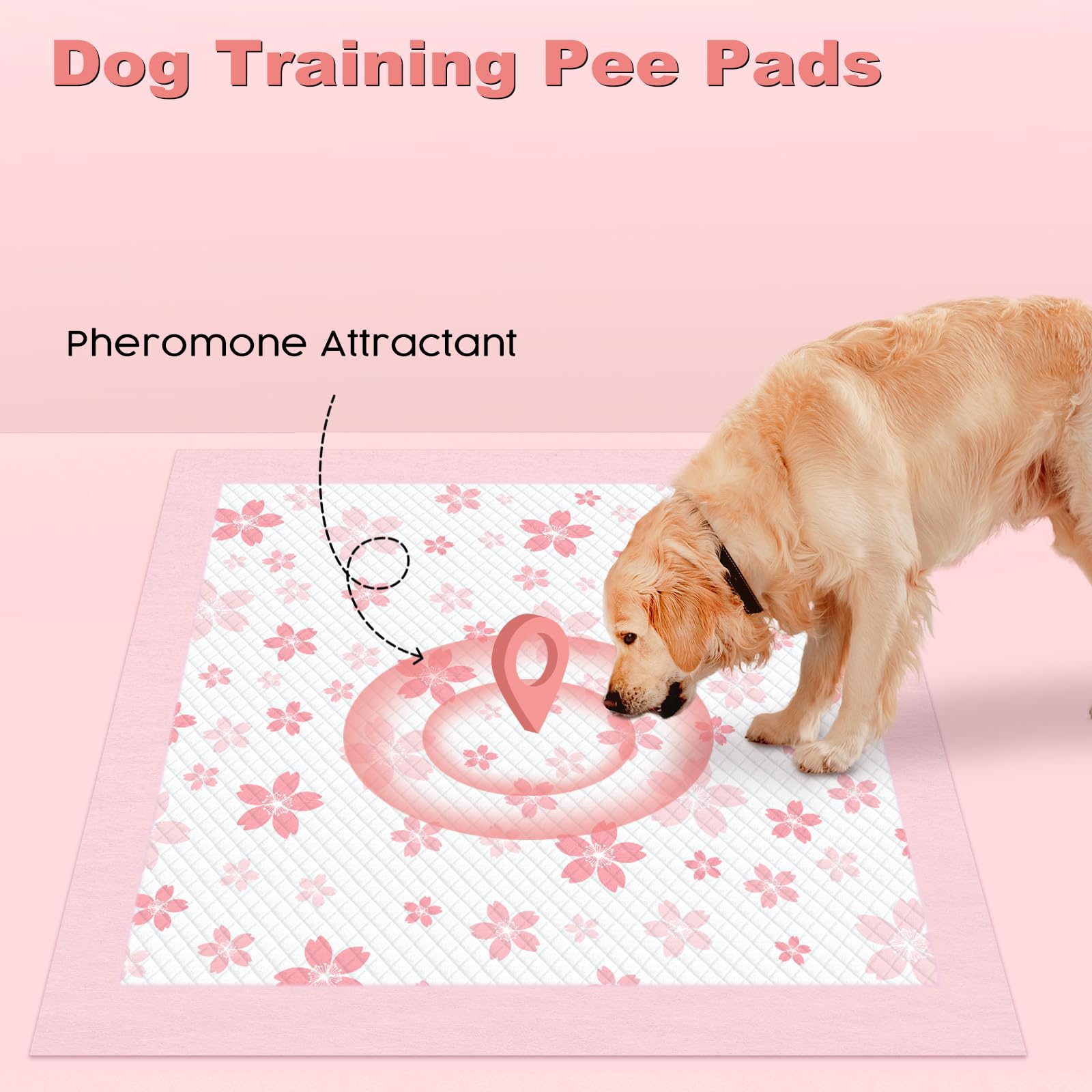 MIZOK 3D diamond-quilted top surface keeps paws dry