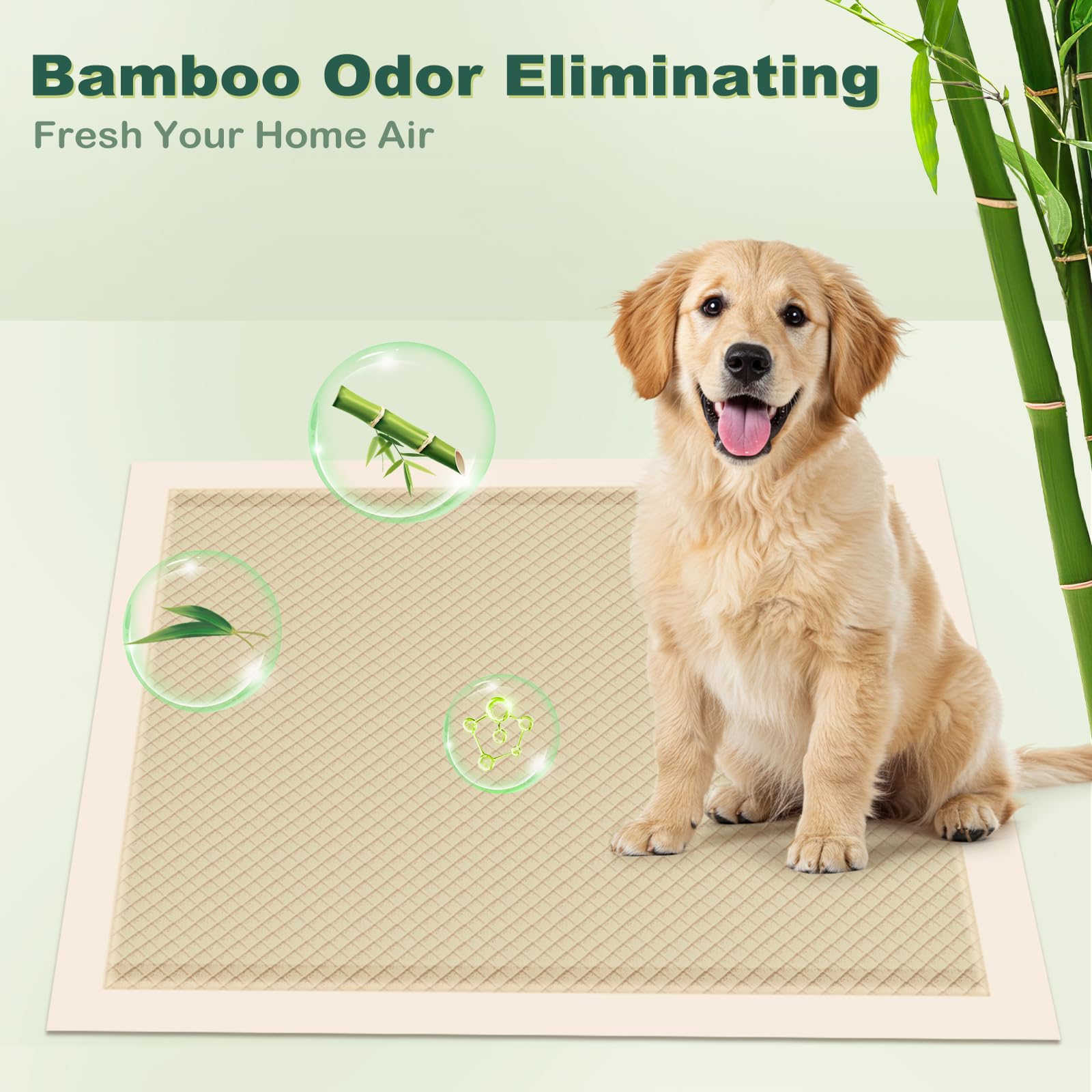 MIZOK 6-layer-absorbent pad cross-section shows quick-dry top layer and moisture lock.