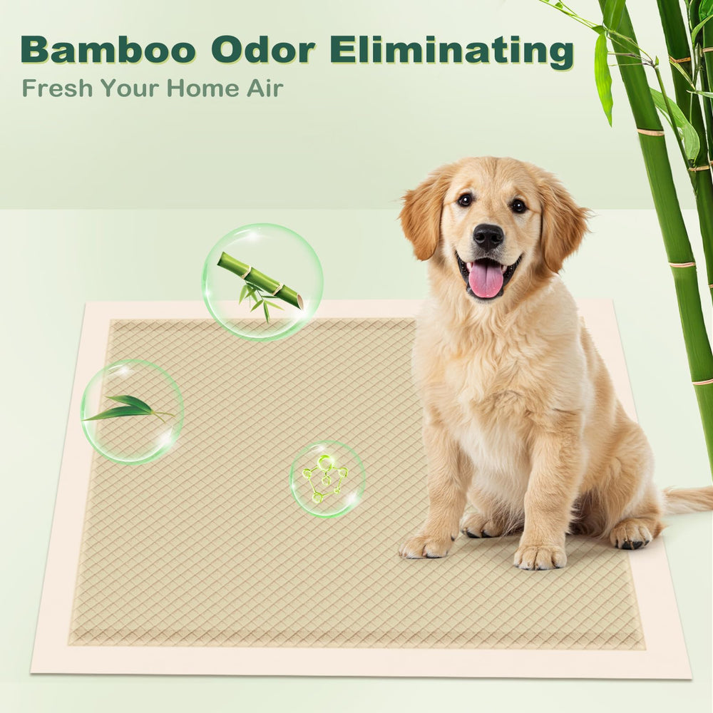 MIZOK 6-layer-absorbent pad cross-section shows quick-dry top layer and moisture lock.