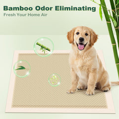 MIZOK 6-layer-absorbent pad cross-section shows quick-dry top layer and moisture lock.
