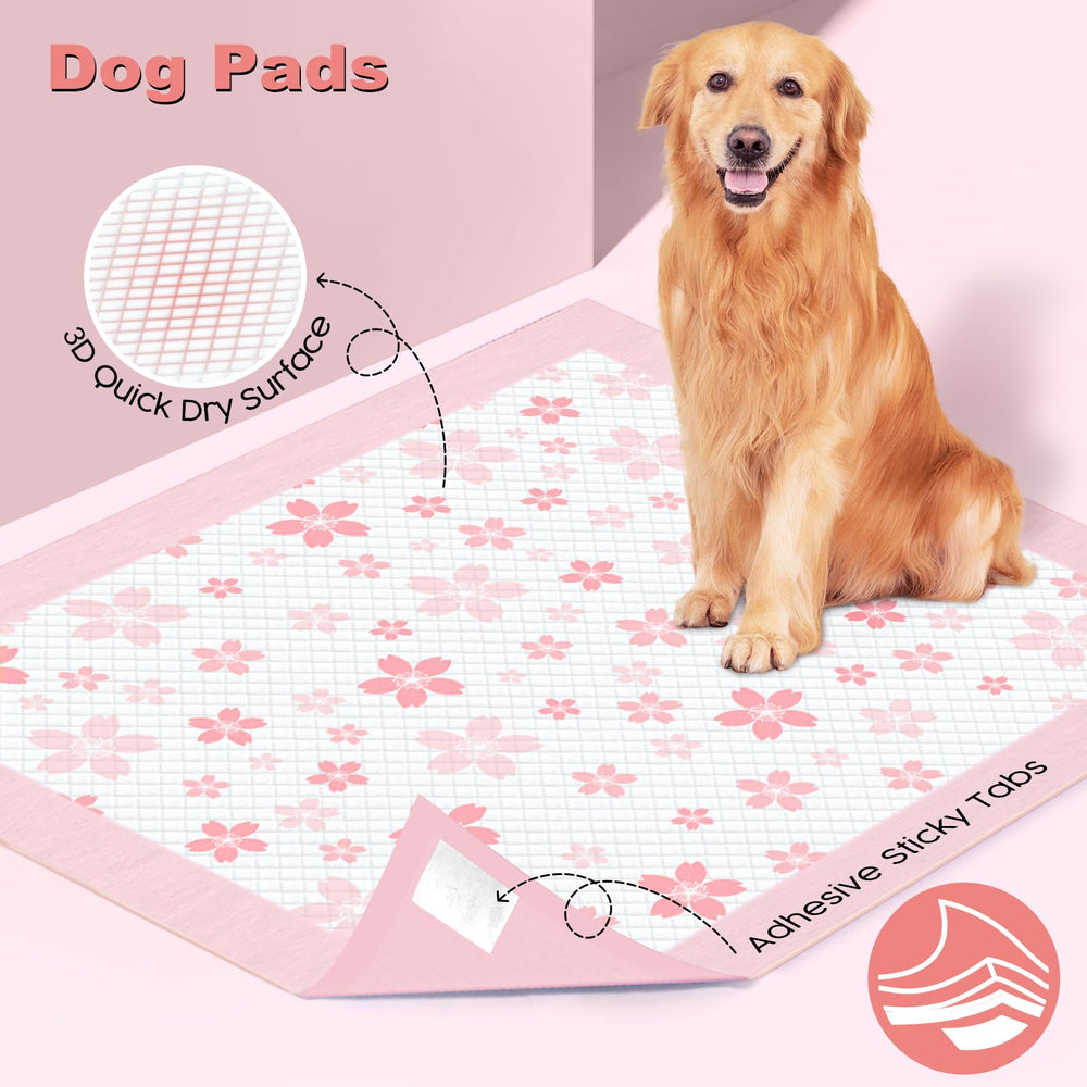 MIZOK pheromone attractant guides potty training routines
