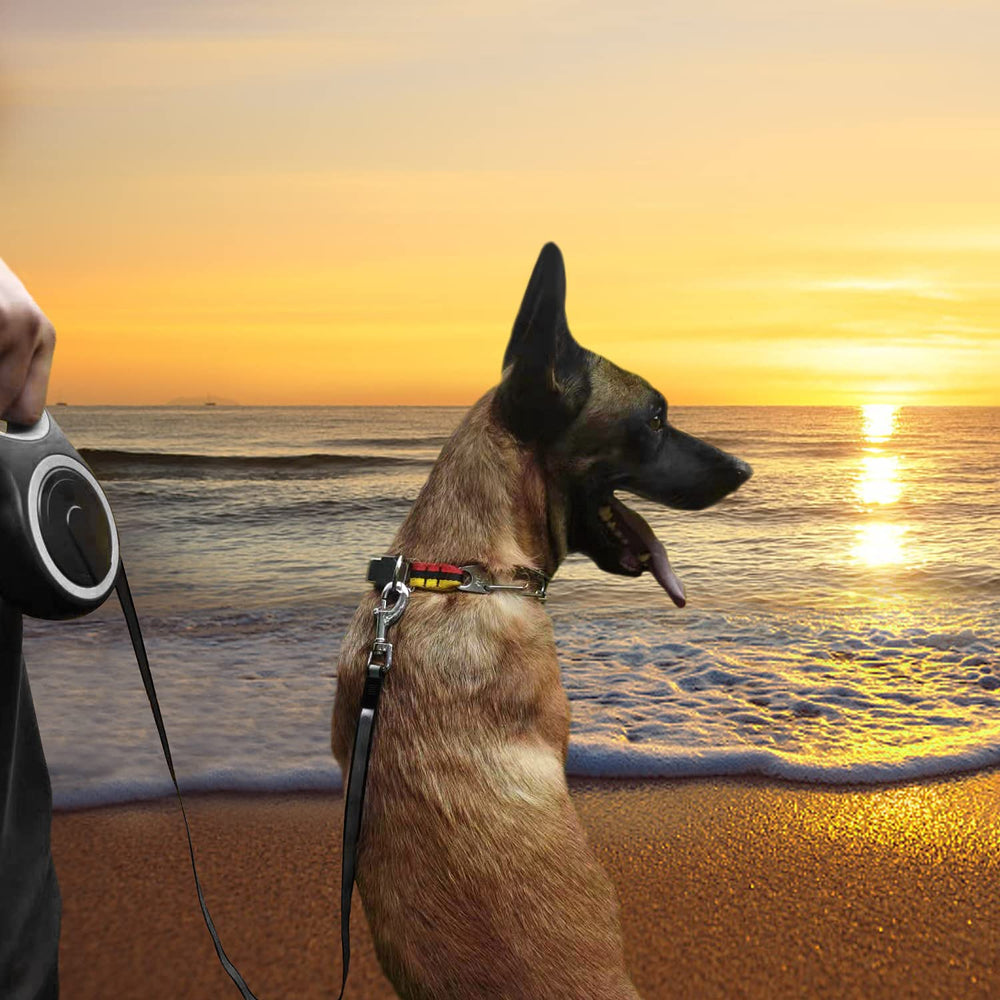 MK-DEF 26ft leash image demonstrates large-dog control for safe, steady walks.