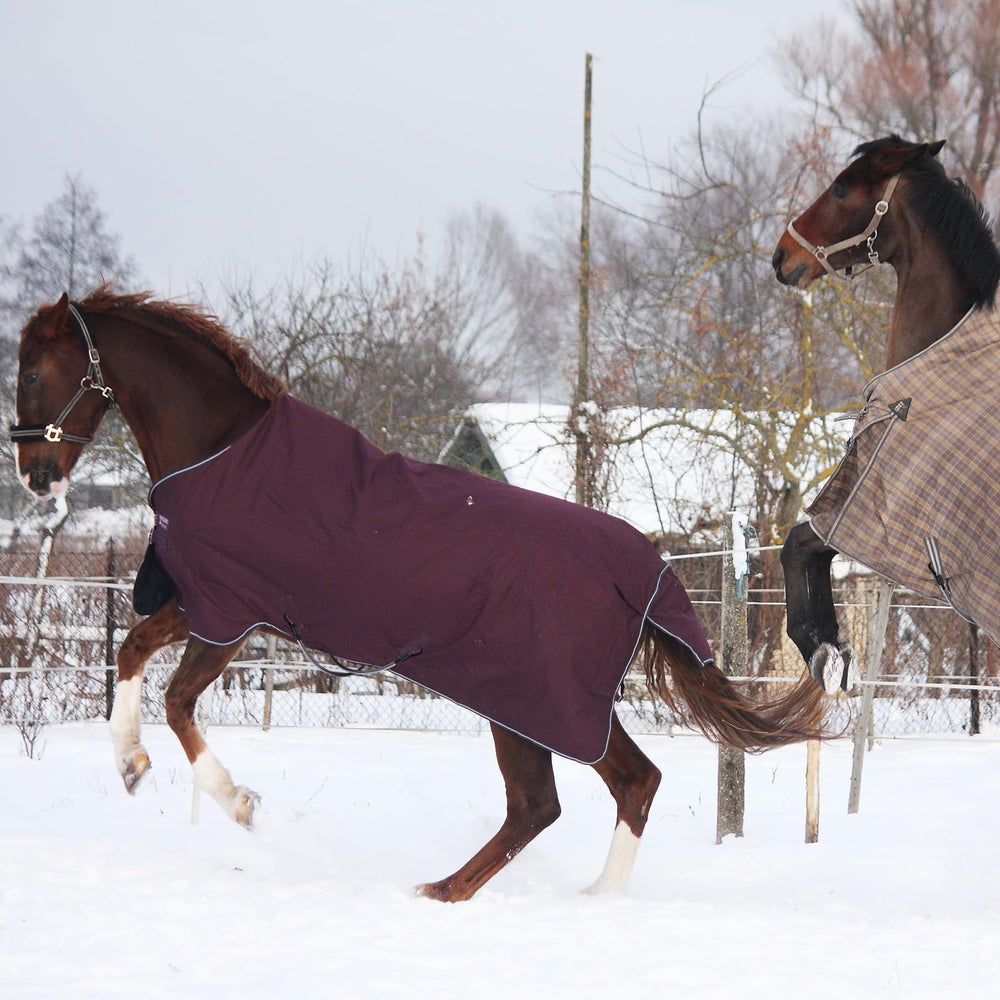 Mkhaslri replacement horse blanket strap offers hassle-free maintenance.