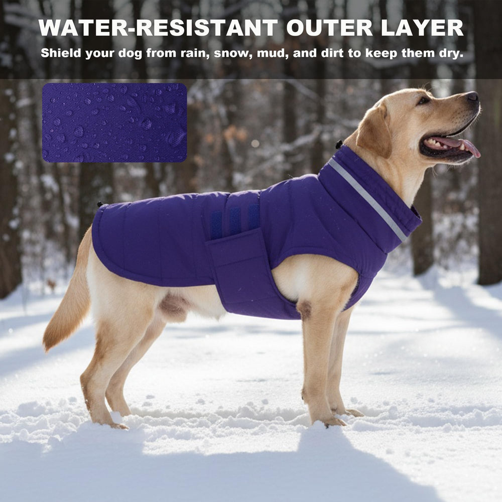Mklhgty adjustable Velcro small dog coat purple offers adjustable fit