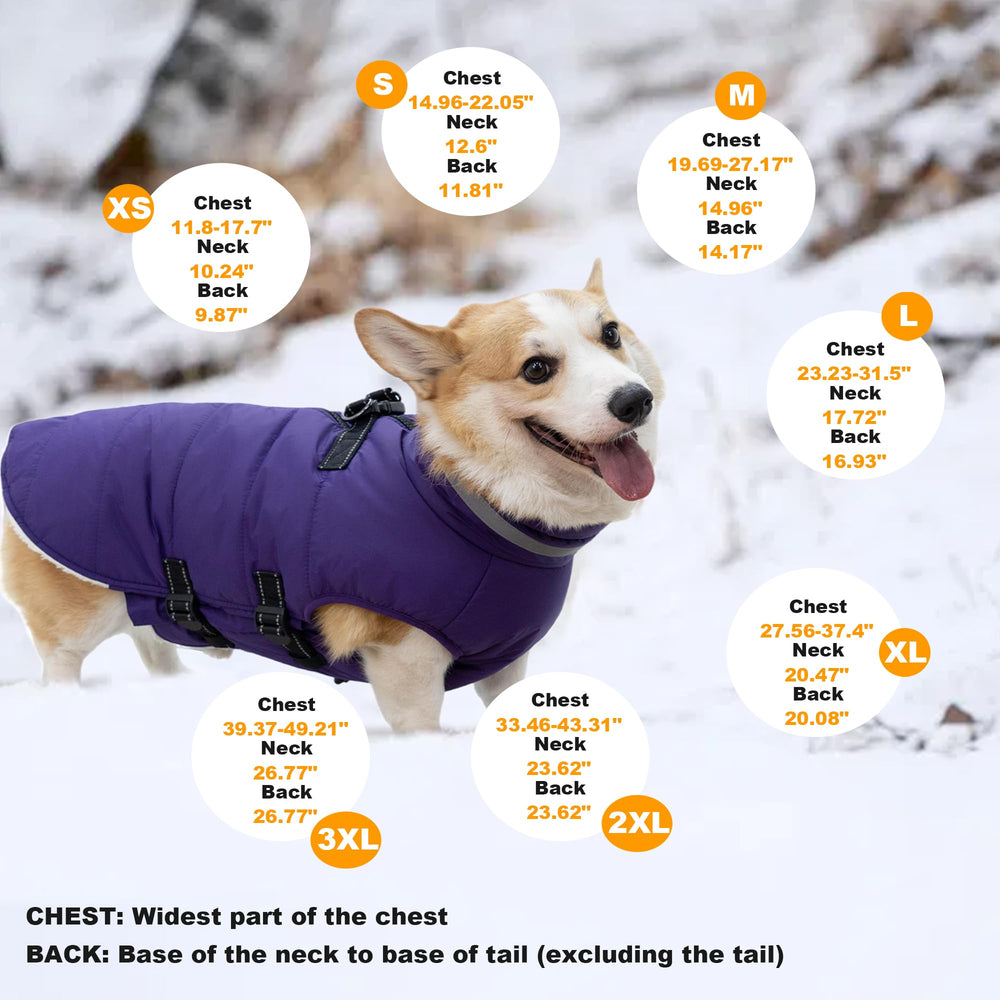 Mklhgty reflective strips enhance visibility for safer nighttime dog walks