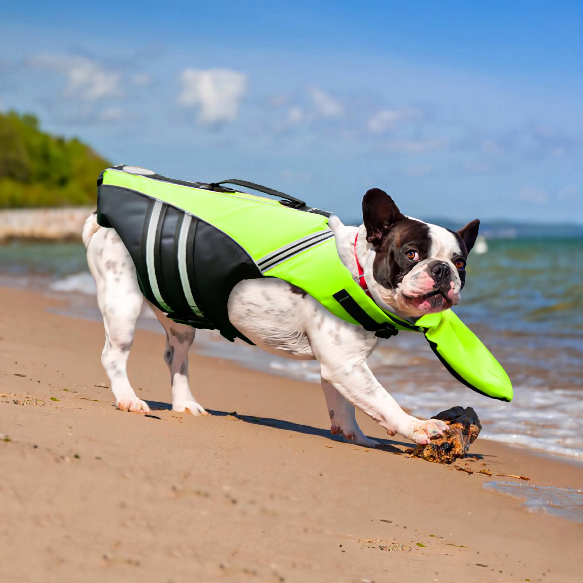 Mklhgty dog life jacket bright colors aid easy spotting
