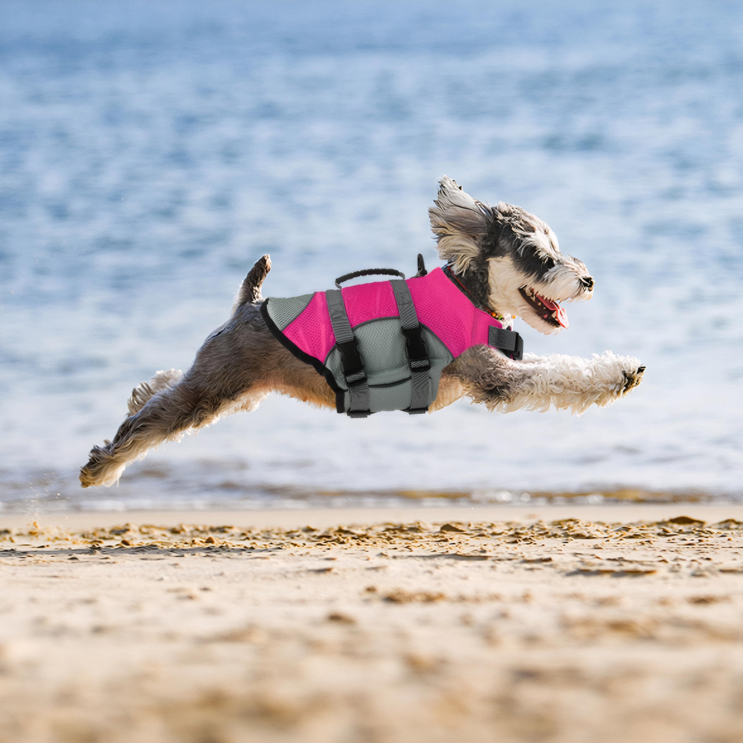 Mklhgty dog life jacket on a dog swimming demonstrates practical use.