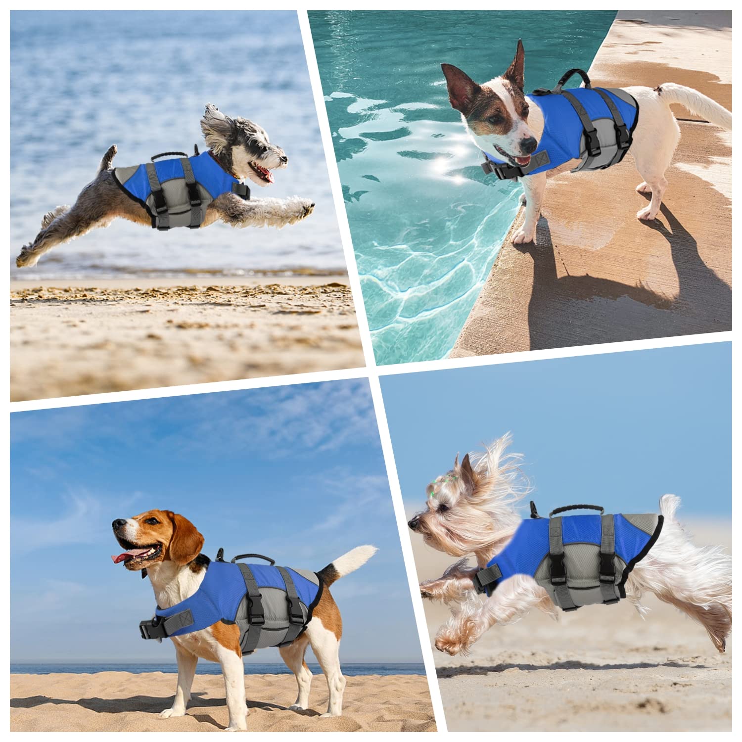 Mklhgty dog life jacket worn on dog swimming showcases buoyant support