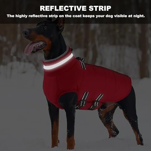 Mklhgty dog wearing winter coat during snowy outdoor walk