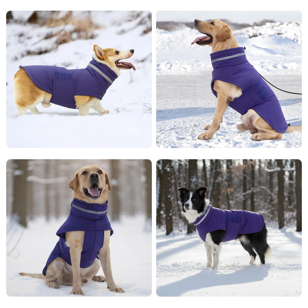 Mklhgty durable weatherproof dog coat in purple suits everyday outings