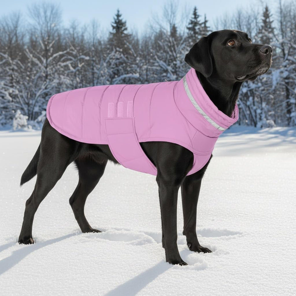 Mklhgty warm windproof jacket ideal for outdoor strolls and pet events.